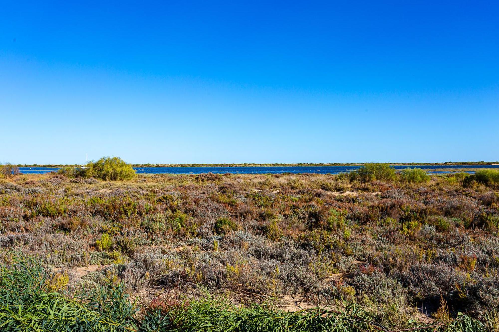 Nesha Cabanas Paradise Tavira Zewnętrze zdjęcie